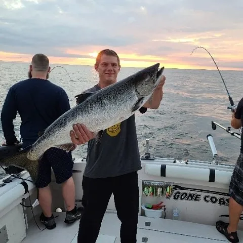 A Gone Coastal client holding a big king salmon on deck at sunset