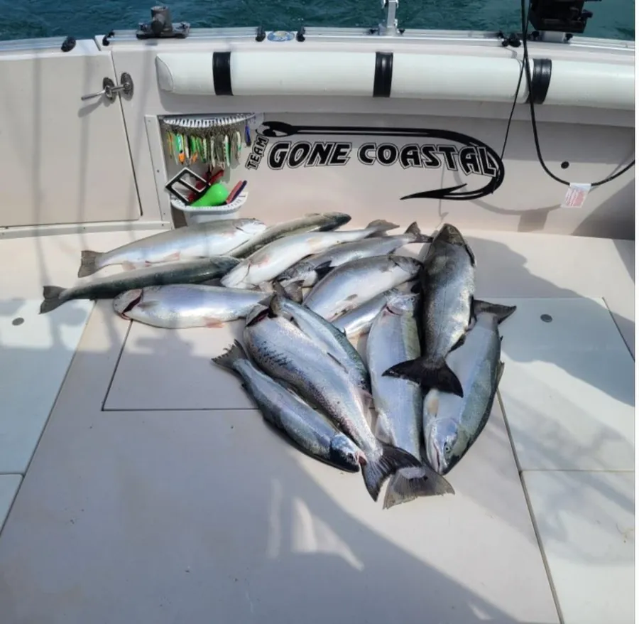 A deck full of salmon and trout at the end of a trip